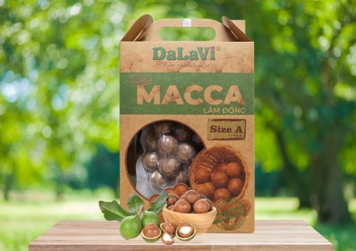 Hạt mắc ca (size A, 500gr)