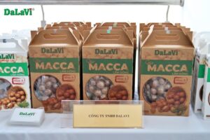 Hạt mắc ca xuất khẩu, DaLaVi hỗ trợ kinh doanh giá sỉ