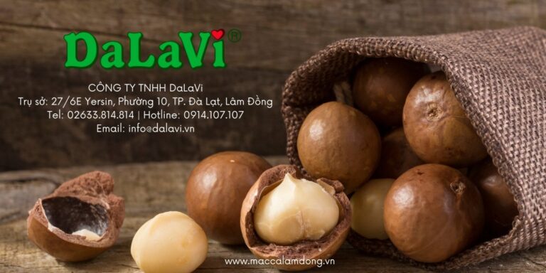 trang-lien-he-maccalamdong