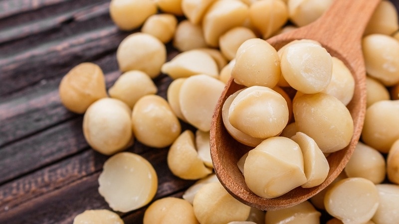 Hạt macca sấy nứt vỏ thơm ngon với 2 size hạt chất lượng